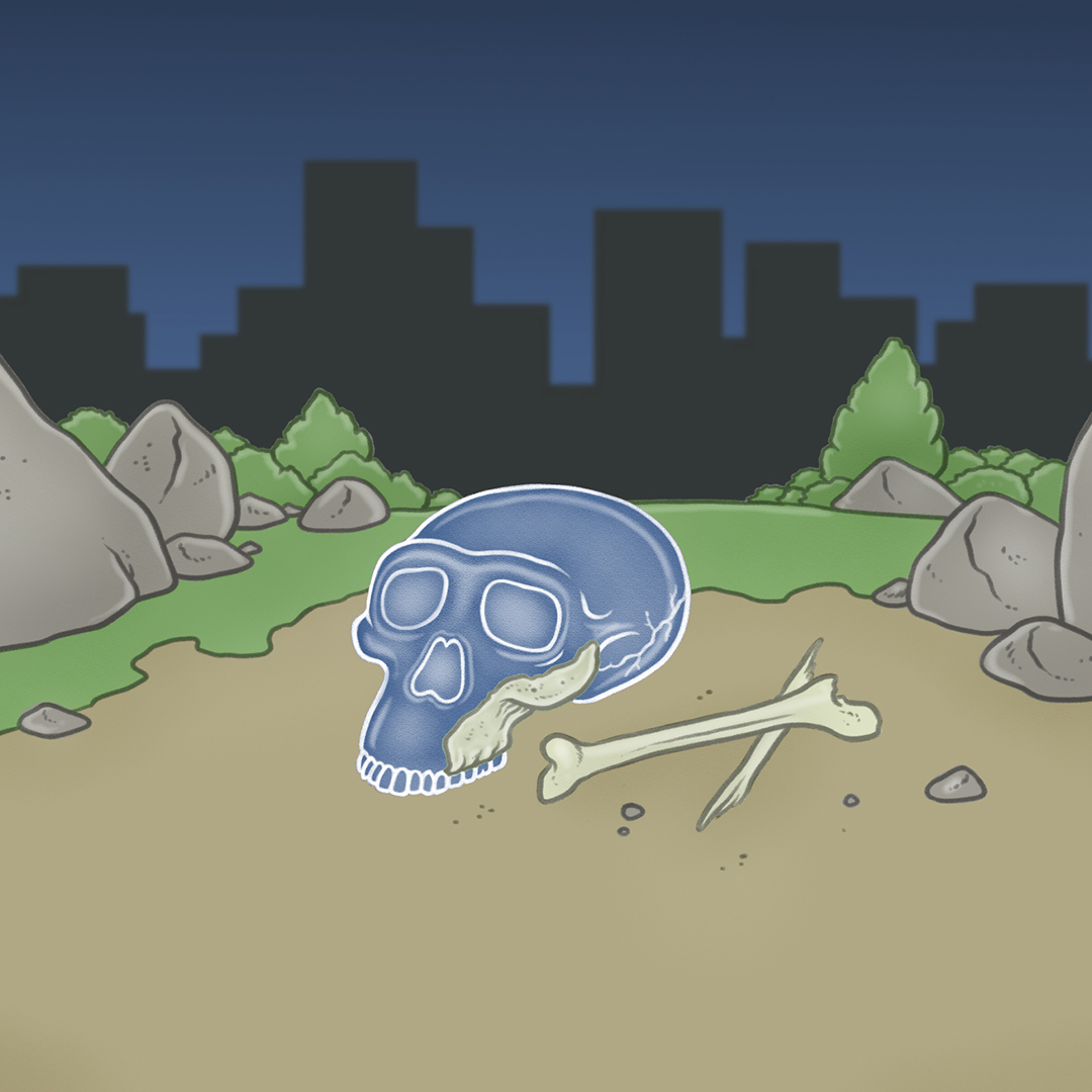 Mensaje al humano del futuro: la utilidad de lo inútil